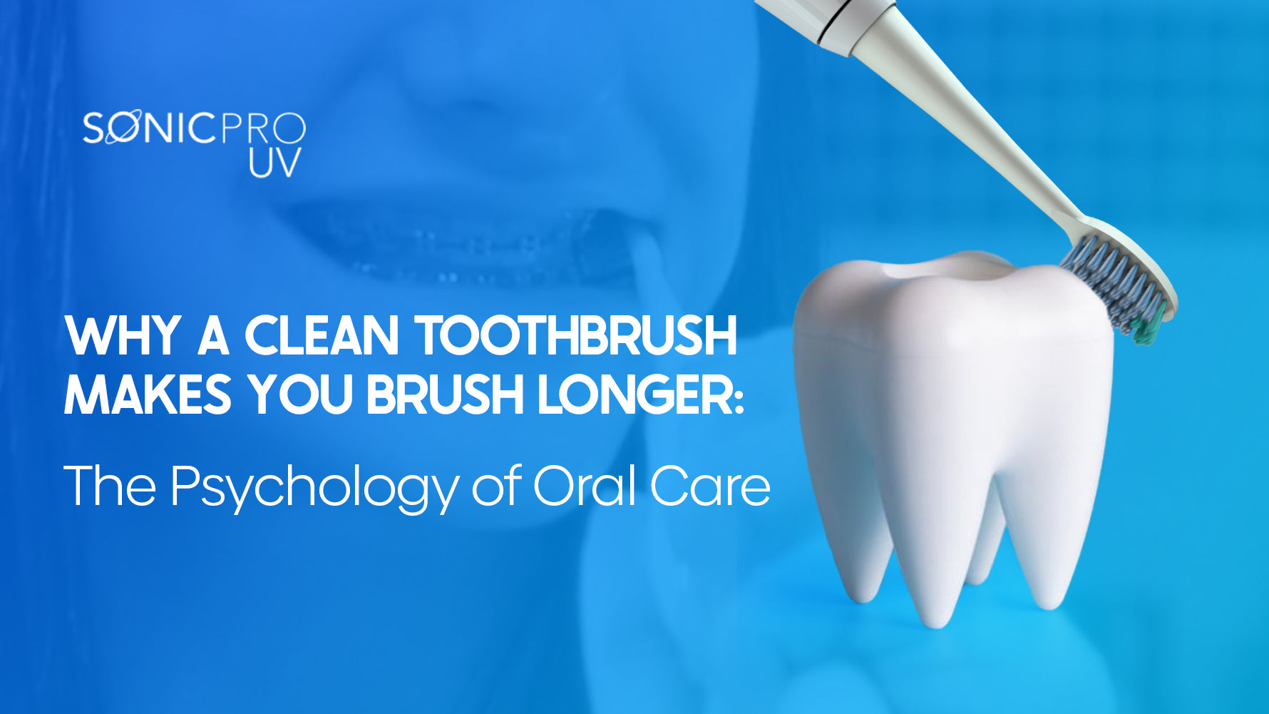 A large tooth getting brushed by a small toothbrush
